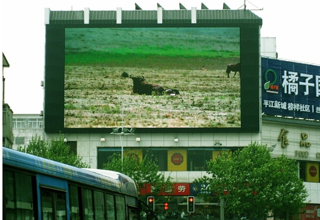 P20mm LED Display/ Outdoor Full Color LED Display