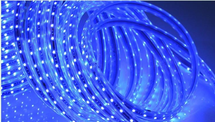 LED Strip Light/SMD 3528 120LED/M Waterproof Strip Light (IP65)