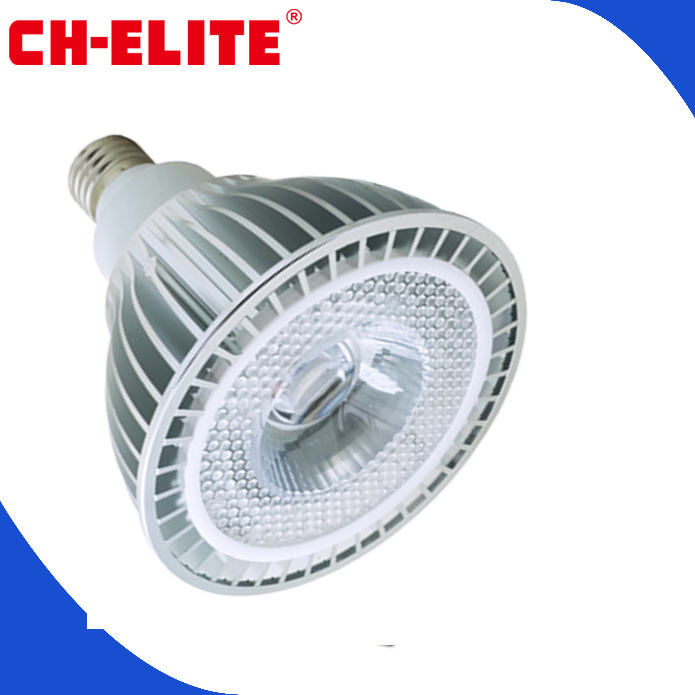 3 Year Warranty 15W CE RoHS LED PAR38