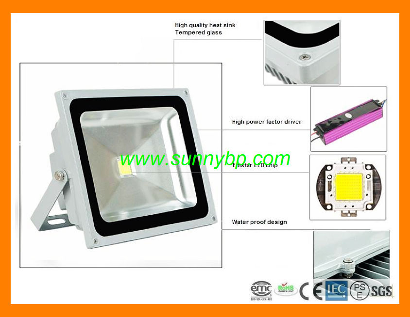 Sliver Housing Colorful 24volt LED Flood Light for Garden