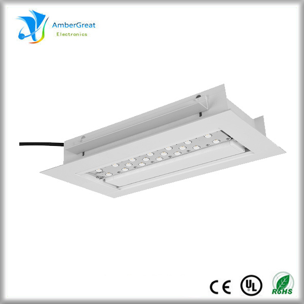 30W IP67 LED Canopy Lighting (AG-C018-L6)