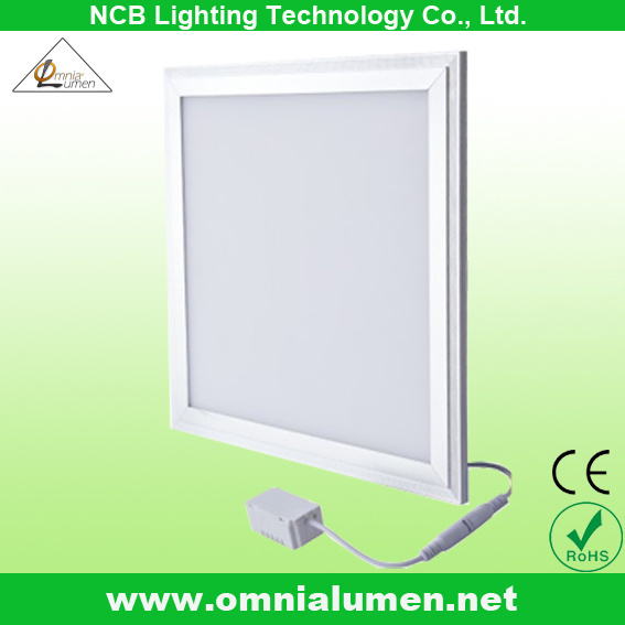 600X600 LED Panel Light (BP606048W)