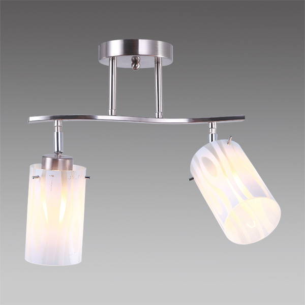 Modern Drop Home Ceiling Light Fixture