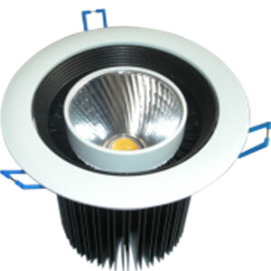 T1031A LED Down Light Bridgelux Lyford 30W