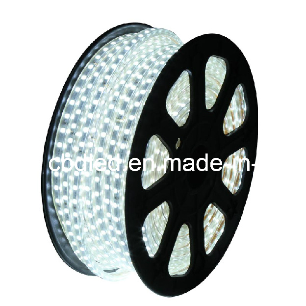 220V LED Strip Light (SMD5050, 30LED/m)