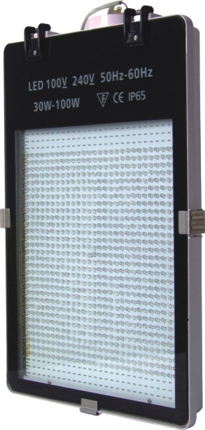 LED Street Light (ZD-01)