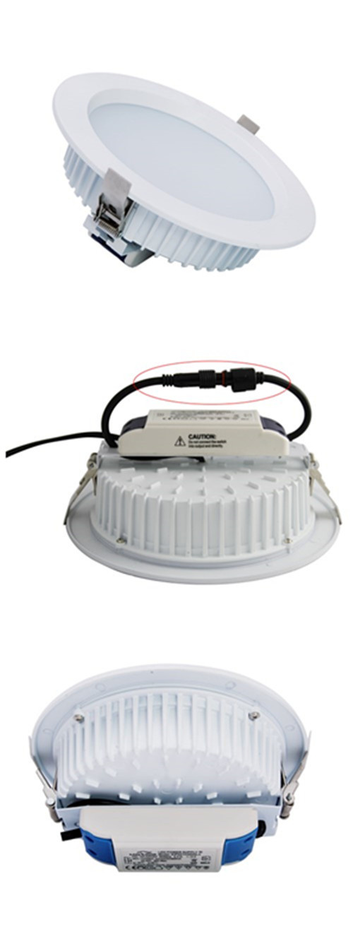 5 Years Warranty Down Light 20W 6 Inch