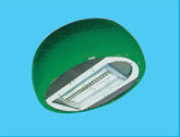 Solar LED Street Light (XS-501)