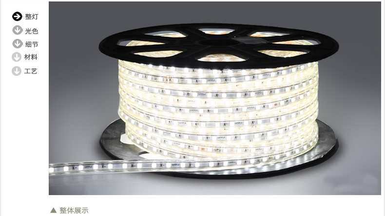 LED Christmas Light 3528SMD/5050SMD LED Strip