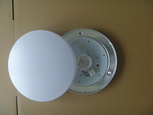 LED Ceiling Light