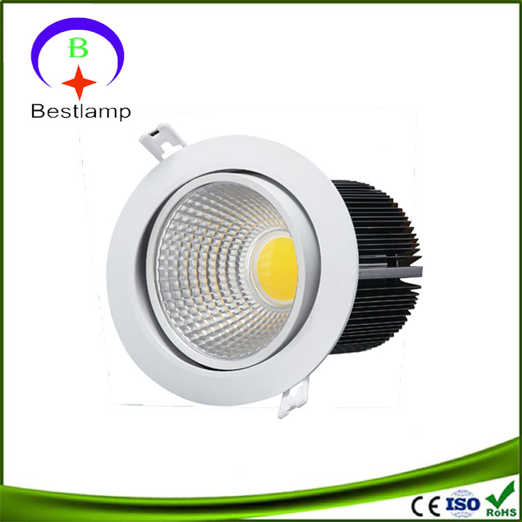 COB LED Ceiling Light with 12W