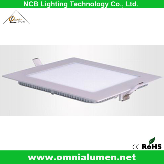 Unique Aluminum Frame LED Ceiling Light (OLSPDLS6W)