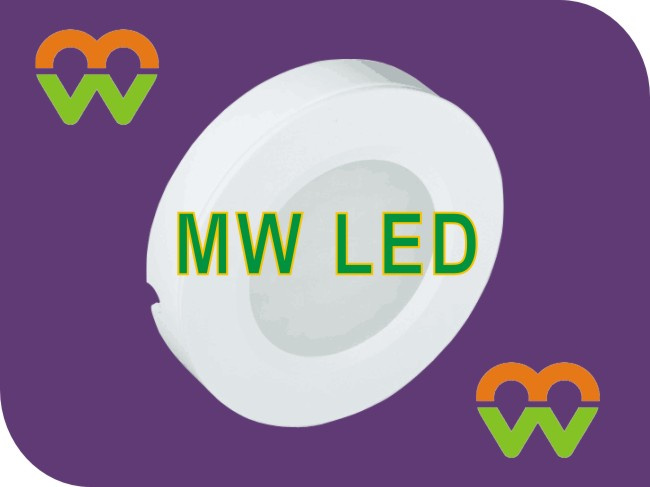 LED Cabinet Light