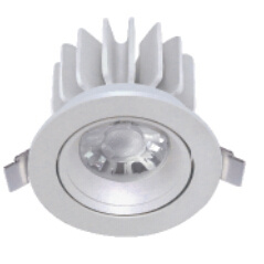 LED Down Light