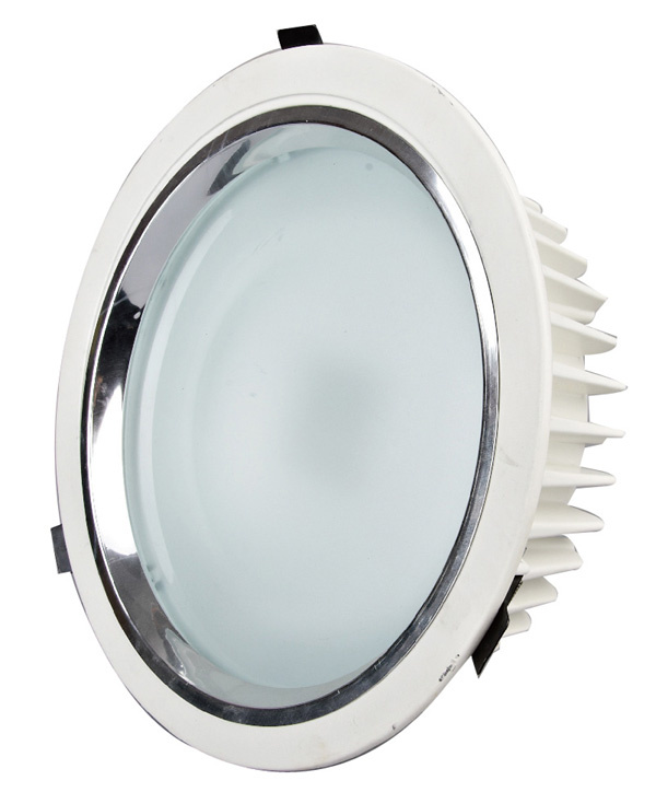 LED Down Light