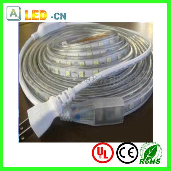 Christmas Light 220V SMD Strip LED Light