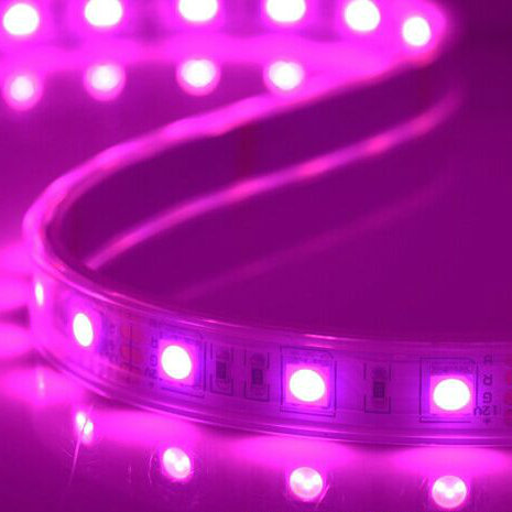 Decoration Digital 5050 SMD DC12V RGB LED Strip Light