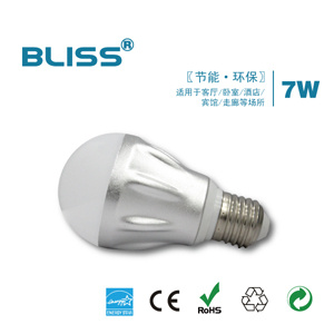 5W LED Bulb Light