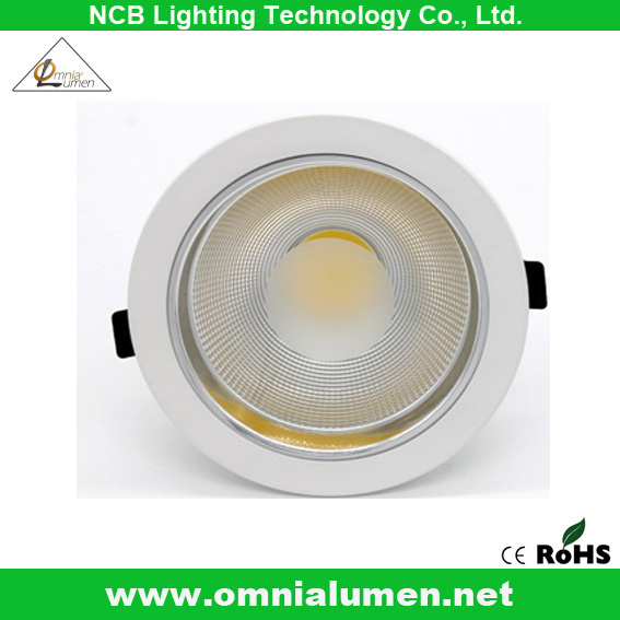 LED Ceiling Light for Indoor Use (OLPAROECO10010WW)