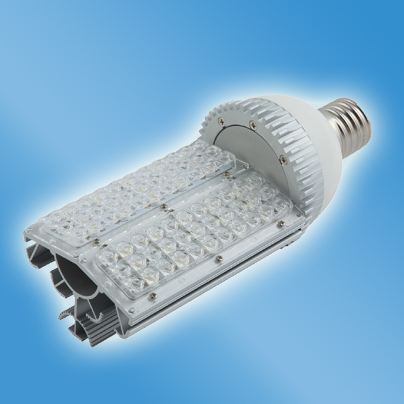 2014 Fast Lane 30W LED Street Light for Sale