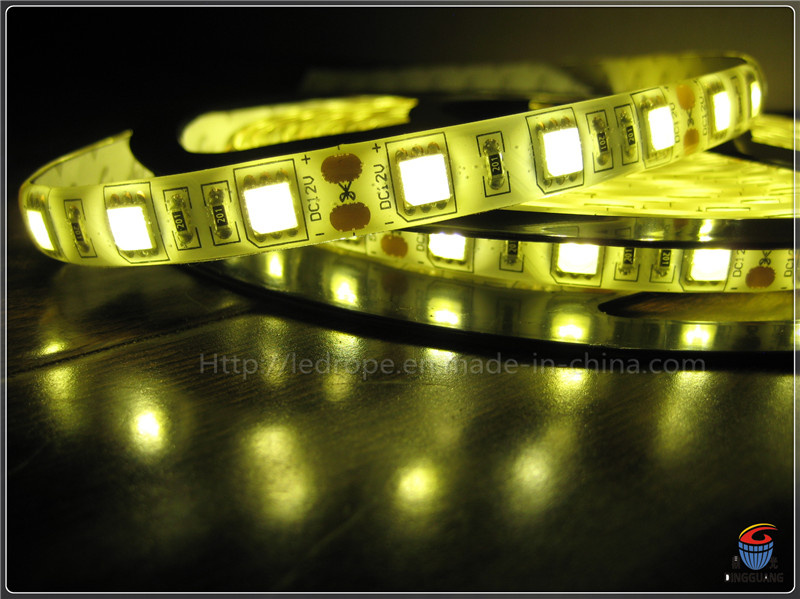 Flexible LED Strip 5050 Light IP 65 Waterproof for Decoration