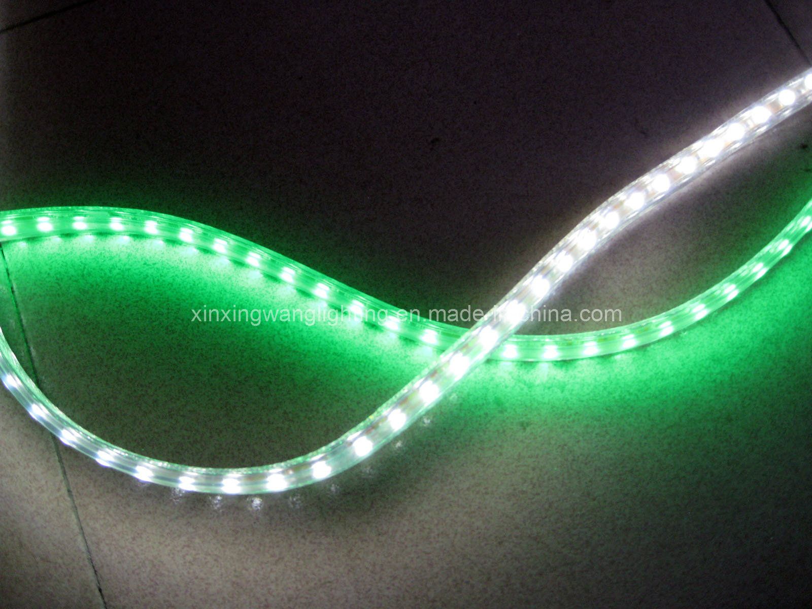 RGB Strip LED Flex Light 220V 30LEDs/M