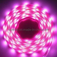 Flexible LED Strip Light