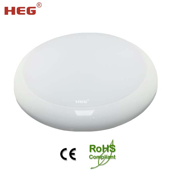 CE 8W 12W 15W 24W LED Light Ceiling/Ceiling LED Light/LED Ceiling Light