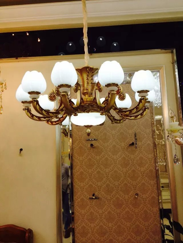 Glass Lamp Shade Hanging Lamp Chandelier (GY1009)