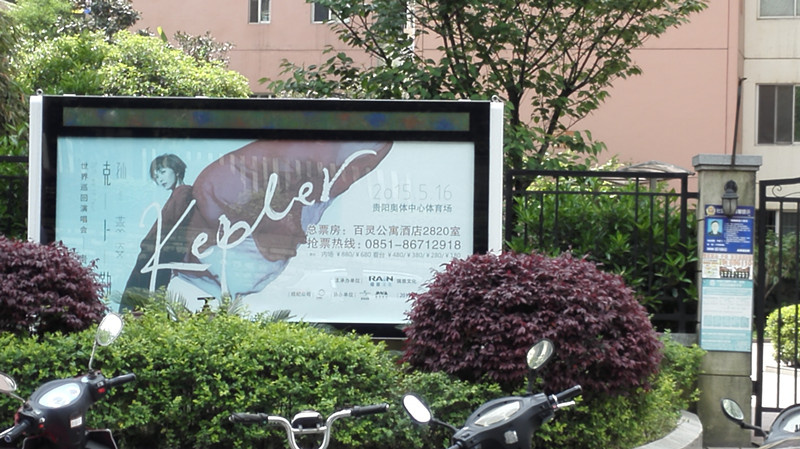 with LED Screen Display Outdoor Roadside Scrolling Advertising Light Box
