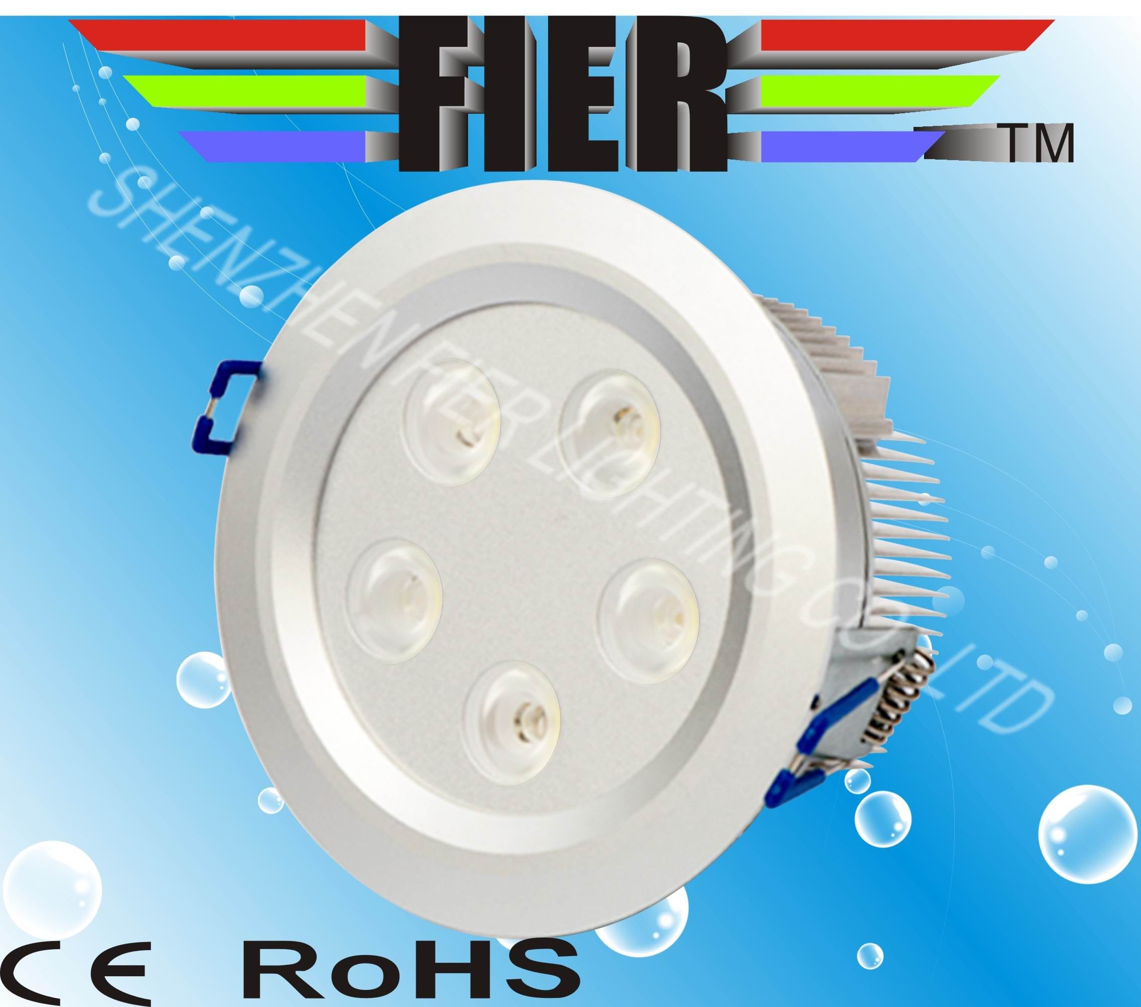 2010 LED Down Light