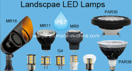 Waterproof RGB LED Spotlight Used for Landscape Lighting