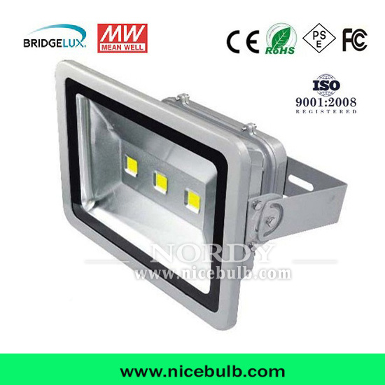 Outdoor 160W Workshop Projector Billboard Landscape LED Flood Light
