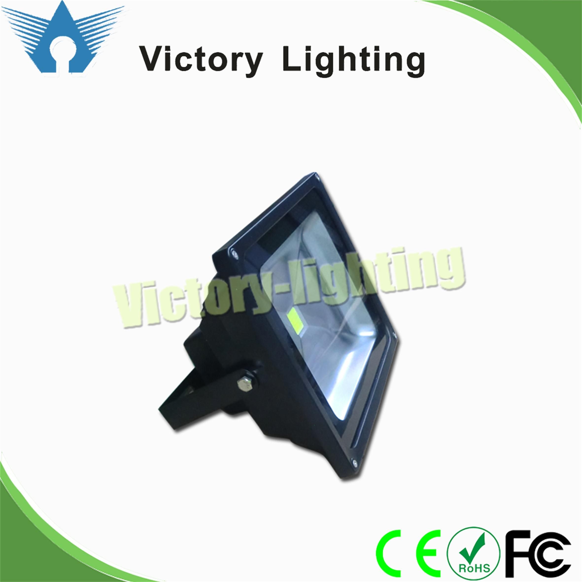 Outdoor IP65 30W COB LED Flood Light (WY2970)