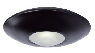 LED Ceiling Light--10W, COB LED, Modern Special Style