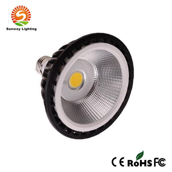 High Power 10W/12W/15W LED PAR30/PAR38 Spotlight