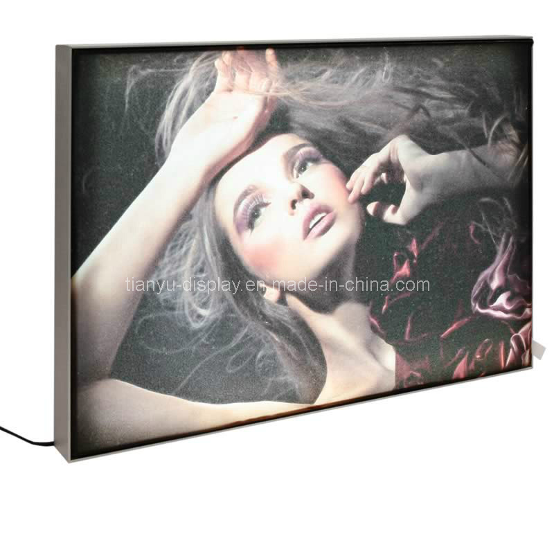 Portable Table Light Box