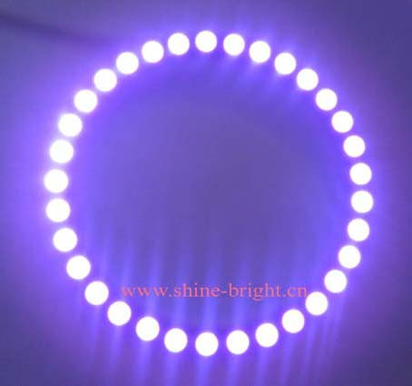 LED Angel Eye (Purple)