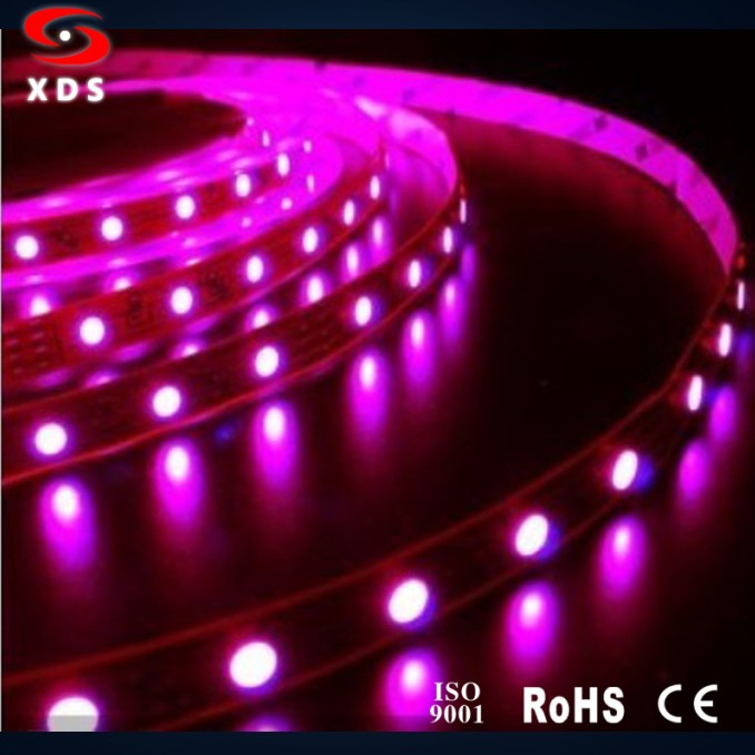 2013 Hot Product LED Stip Light SMD3528 60LEDs