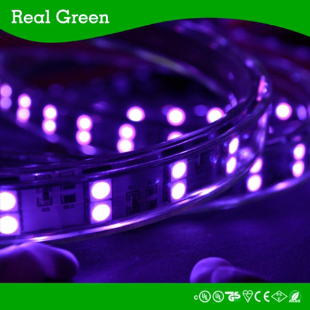 SMD5050 220V Double Row LED Strip Light