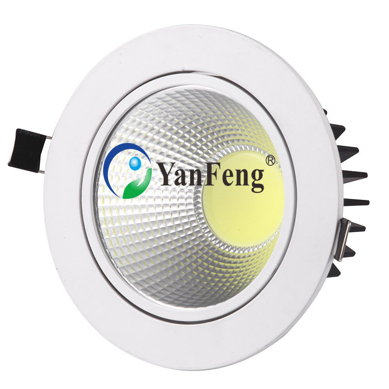 20W China LED COB Downlight/Ceiling Light