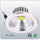 LED COB Ceiling Light