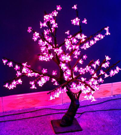 LED Tree Light