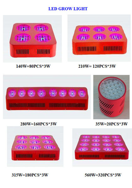 LED Grow Light