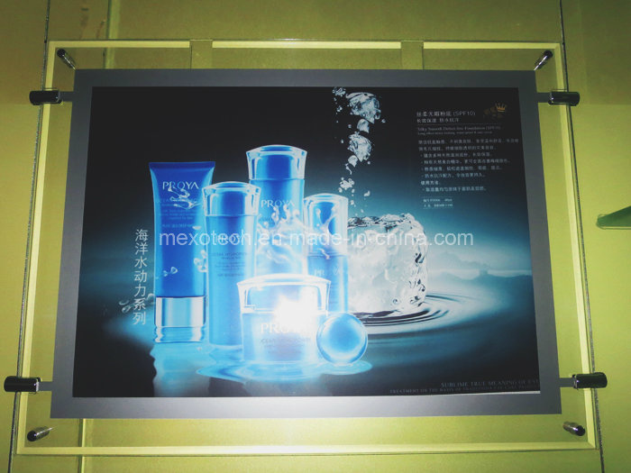 Chain Stores Advertisement LED Slim Light Box (CSH02-A3L-11)