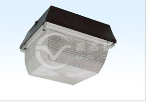 Ceiling Induction Light (Ve_Cl_8701)