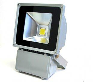 (50W) LED Flood Light LED Floodlight LED Light