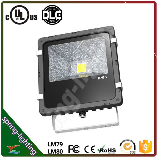 5 Years Warranty COB Outdoor Waterproof 50W LED Flood Light with CE UL SAA