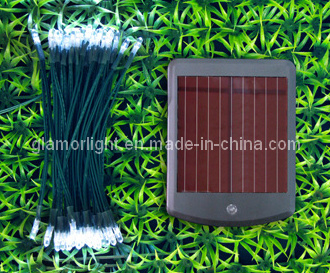 LED Solar Garden Light (LC non-cover)