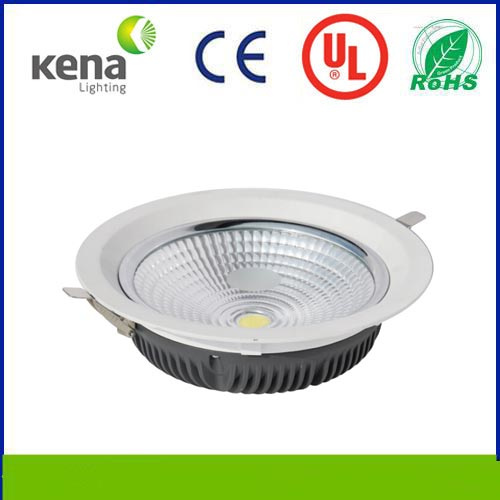 New High Power 30W COB LED Down Light for Interior Lighting